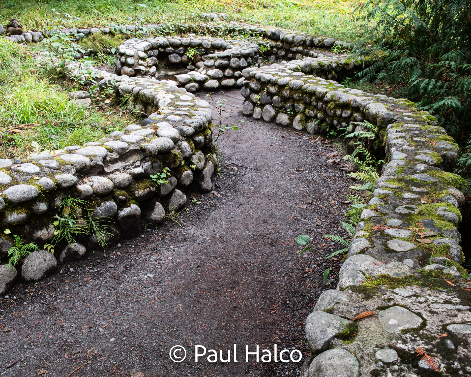 Paul Halco - Mt Ranier NP-8